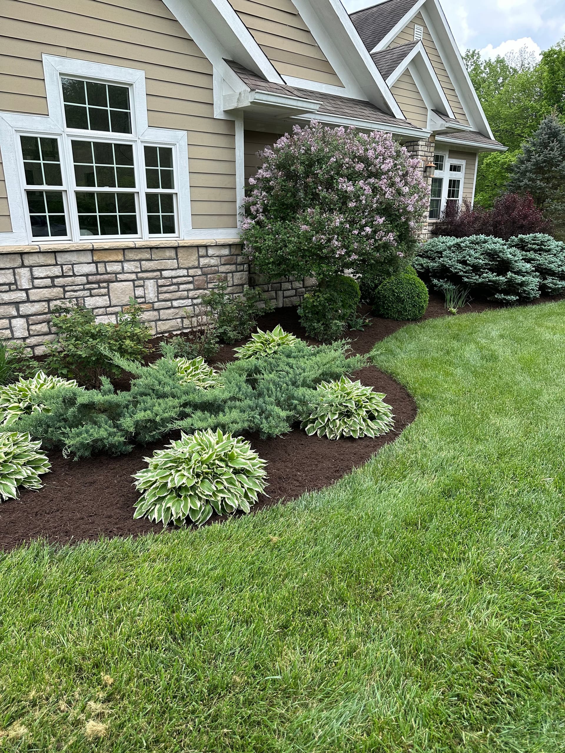 Landscape Transformation image
