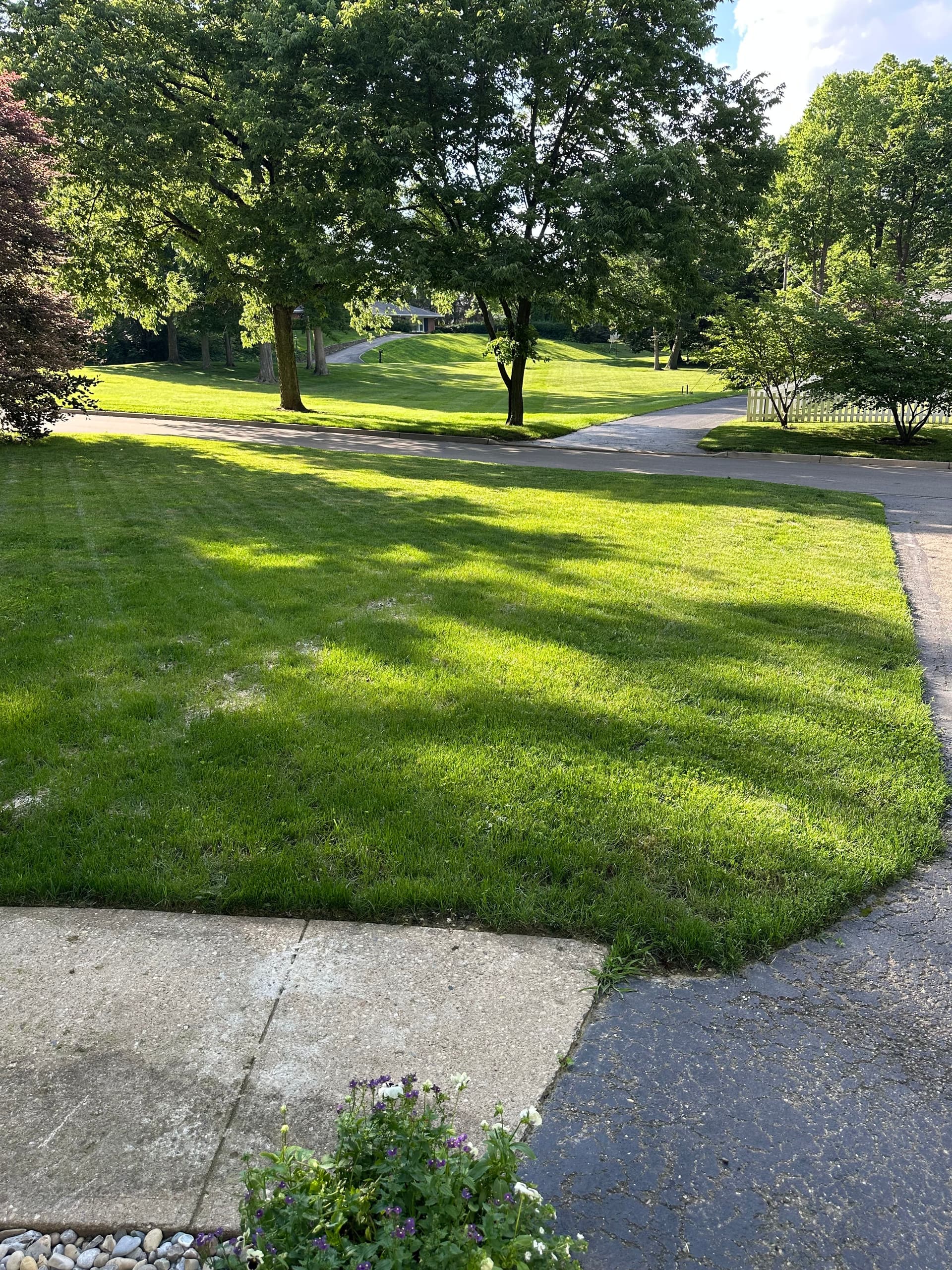 Gallery photos for Yard Grading Project: Image #1