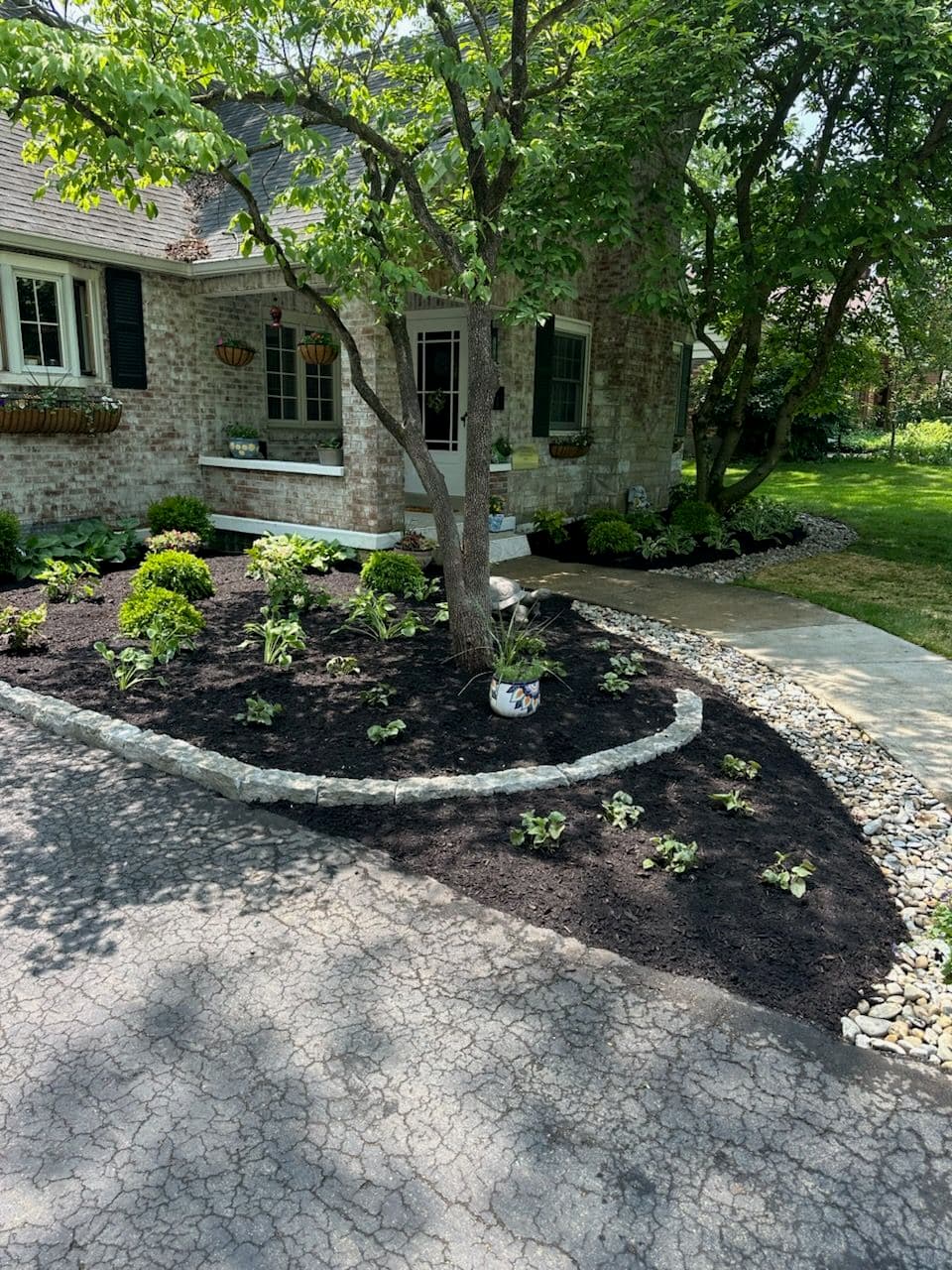 Front Landscape Design and Transformation image