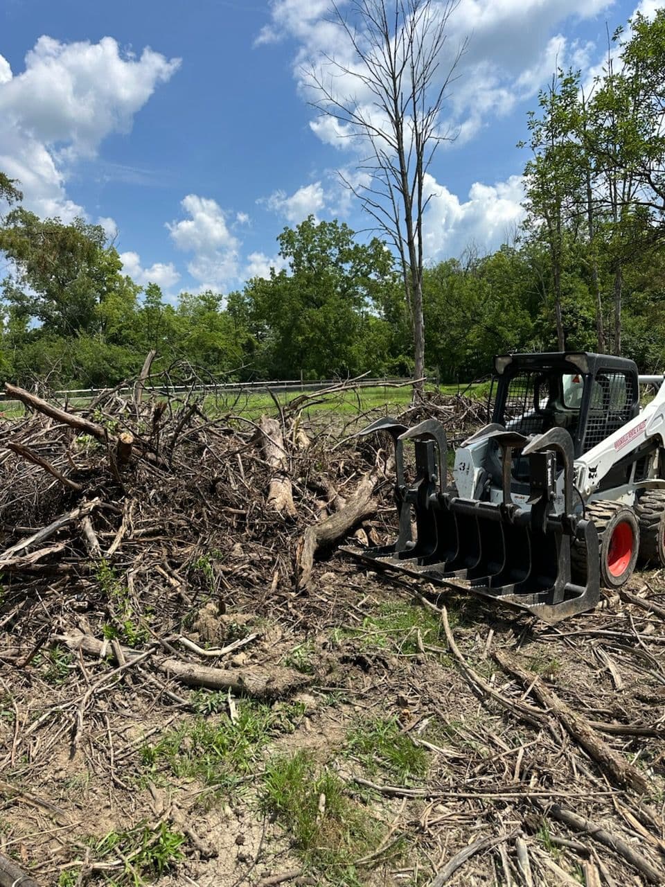 Expert Land Clearing image